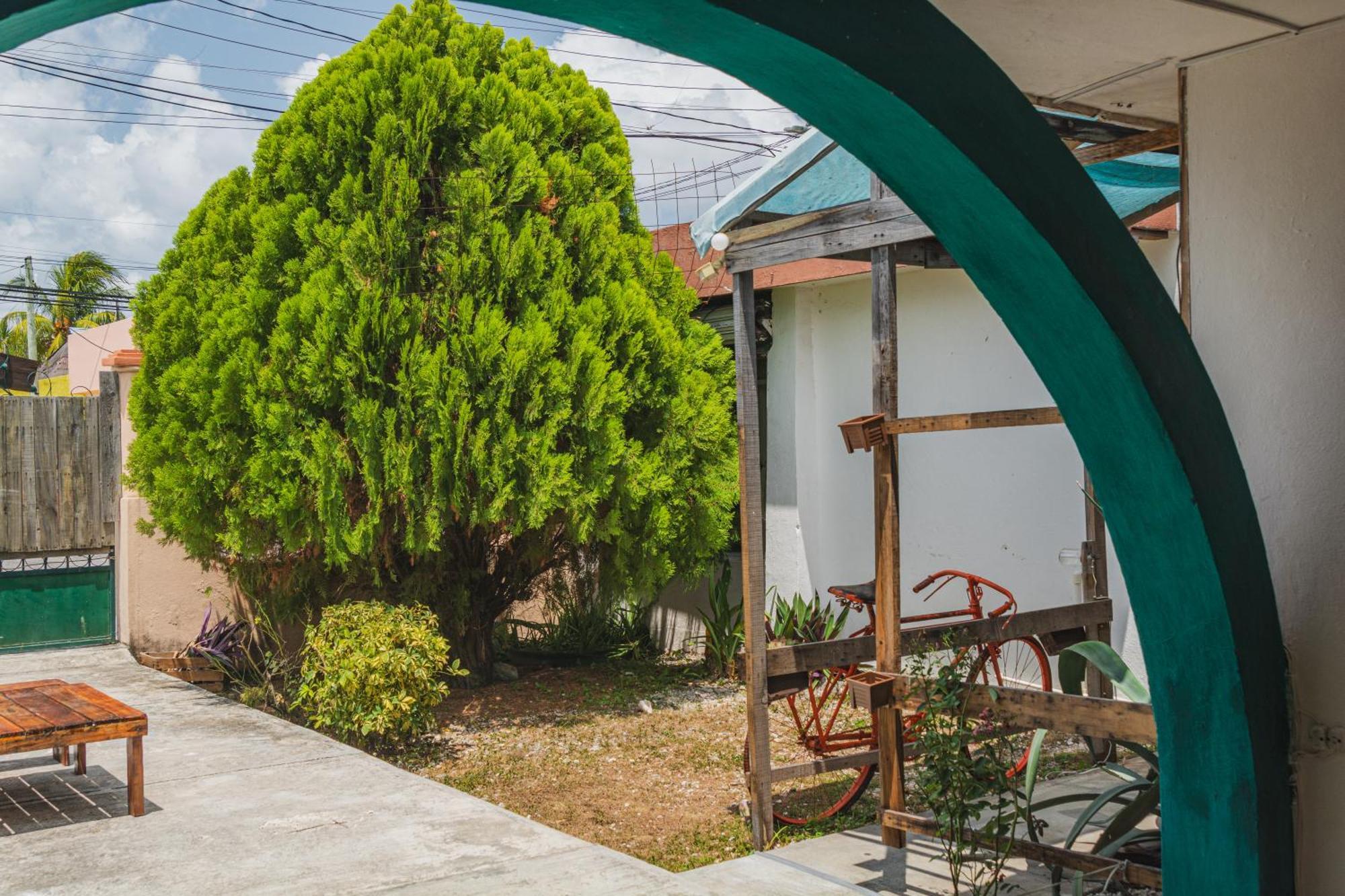 Casa Samay コスメル エクステリア 写真